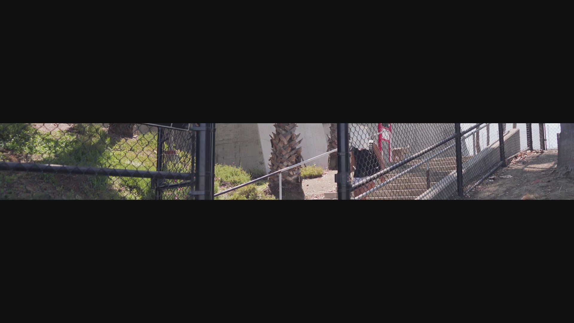 Load video: Karli Jo Weisser Video